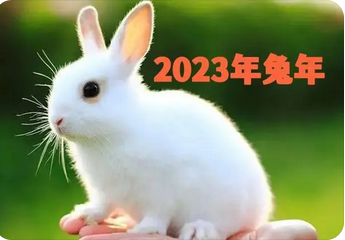 ​2023年十二生肖兔新历01月运势（01月07日-02月0