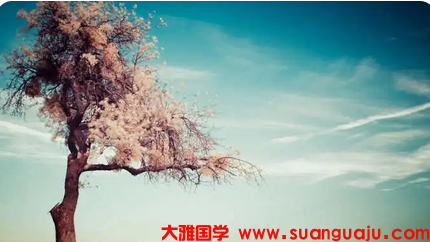 生辰八字测命运 女性假如官杀旺而无制又没有印星保护在感情上被骗受伤都是好的