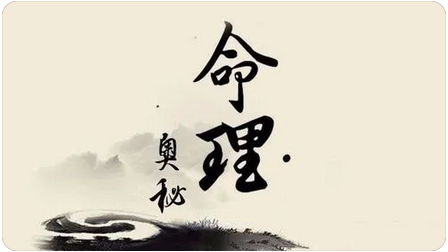 1981年请问师傅我的事业财运情况_官方算命一条街(图1) image.png