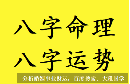 八字四柱详解_1995年冬月十四命局无比劫，需要依靠印星制伤官