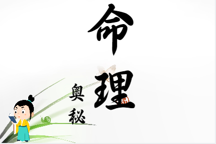 寅月甲木（测八字算命）