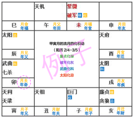 紫微斗数24年11月运势分析 （算命一条街乾坤网）