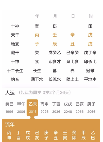 地支辰，丑，戌的人（八字真人在线算命）