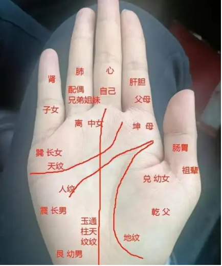 看手相分“男左女右”吗？为什么“男左女右”？一对一算命一条街
