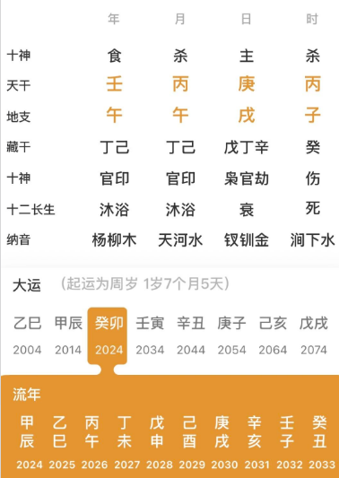 两个午火,两个丙火的命局(八字真人在线算命)(图1) 9f1b3d1b-163e-47bf-b7e7-0f5dd9c00121.png