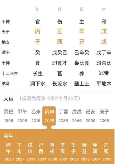 地支辰，丑，戌的命局（八字真人在线算命）