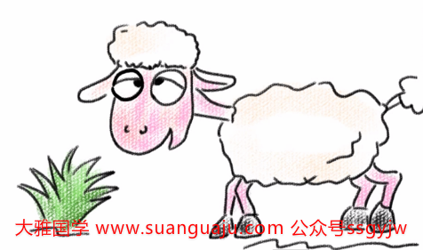 算命财运：2022年偏财运最旺的生肖 属猪羊龙人全年财运滚滚(图3)