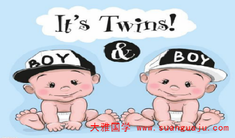生辰八字与命运​：双胞胎八字小感（一）