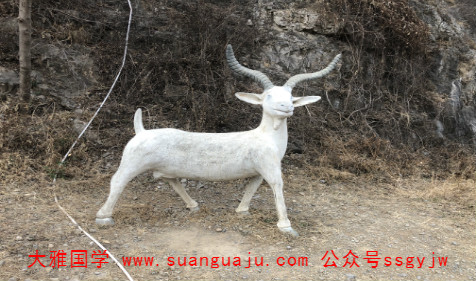 网上算命最准的网站​：2021年11月生肖羊事业运势（图文）