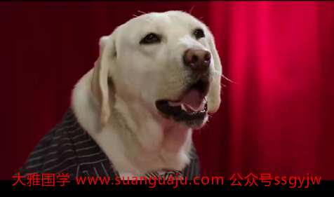 网上算命婚姻​：生肖狗2021年12月份桃花运势（图文）(图2)