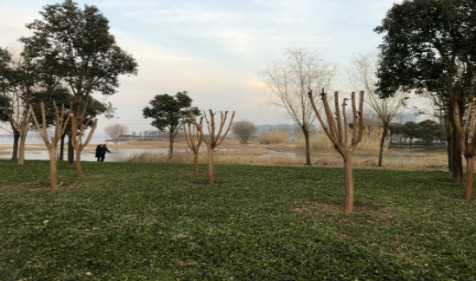易经算命命理上讲平安，并不是完全可避但可以缓解