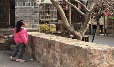 2022年阴历四月初三出生的女孩命运 八字算命最准的网站分析(图2)
