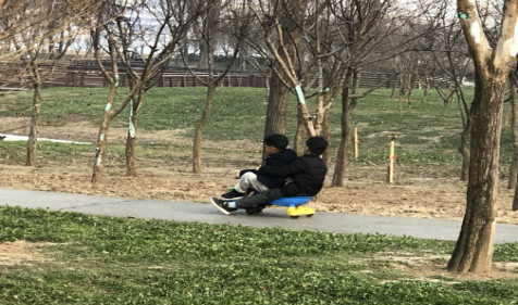 2021年12月出生的牛宝宝 在线八字算命步步高升多福长命(图2)