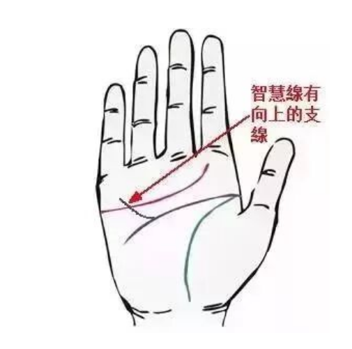手上有此纹,多是有钱人(一对一算命一条街)(图5) 1771502176315.png